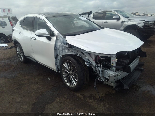 2022 Lexus NX, VIN: JTJHKCEZ0N2005388