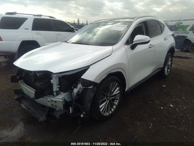 2022 Lexus NX, VIN: JTJHKCEZ0N2005388