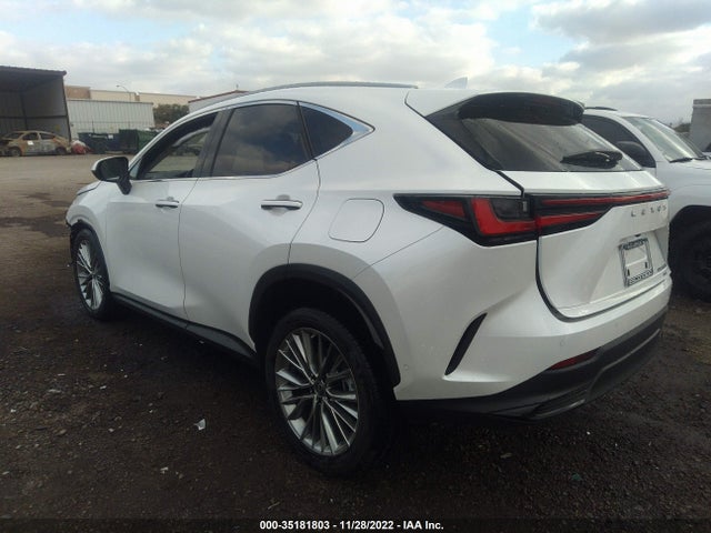2022 Lexus NX, VIN: JTJHKCEZ0N2005388