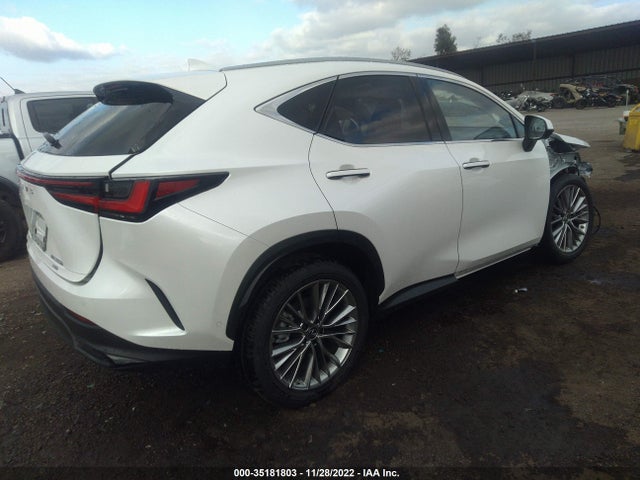 2022 Lexus NX, VIN: JTJHKCEZ0N2005388