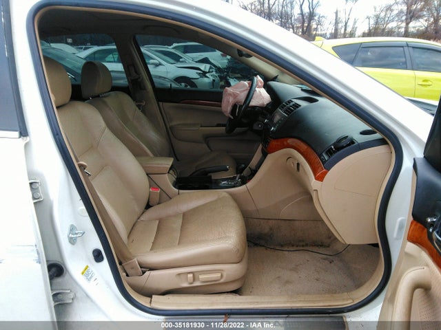 Acura TSX 2006 JH4CL96856C002628 Image 6