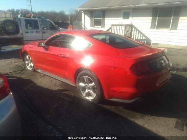 Ford Mustang Ecoboost 2019 1FA6P8TH1K5147199 Image 3