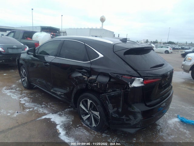 2020 LEXUS NX NX 300 VIN: JTJGARBZ7L5013456