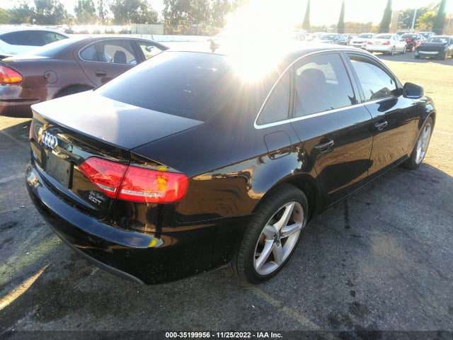 WAUEFAFL7BN046309 Audi A4 2.0t Premium Plus