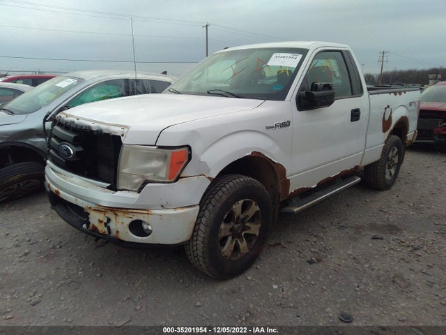 2011 FORD F-150 XL/STX/XLT VIN: 1FTMF1EF4BKD61998