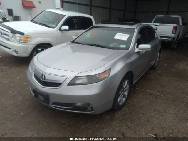 19UUA8F28DA011142 Acura TL