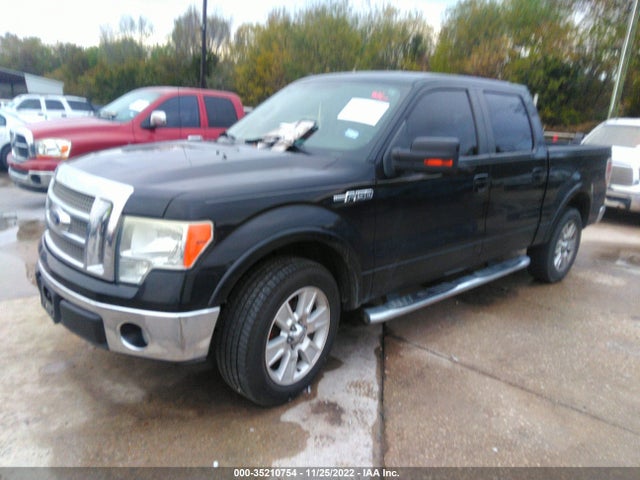 2010 FORD F-150 XL/XLT VIN: 1FTFW1CV2AFB97001
