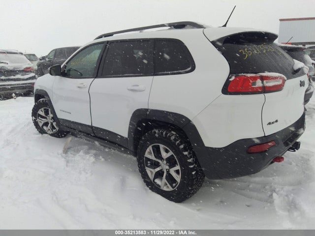 2014 JEEP CHEROKEE TRAILHAWK VIN: 1C4PJMBS4EW111317