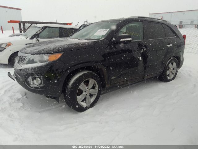 5XYKUDA65CG264045 KIA SORENTO EX