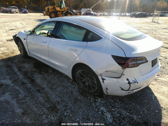 Tesla MODEL 3 2020 5YJ3E1EA7LF659723 Image 3
