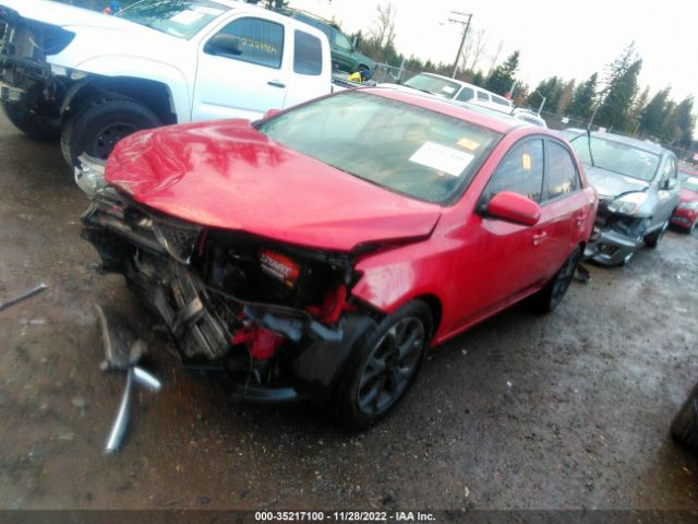 KNAFW4A33D5666333 KIA FORTE SX