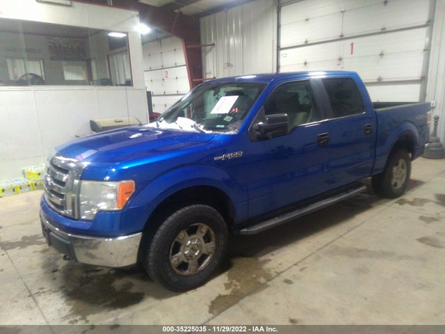 2009 FORD F-150 XL/XLT/FX4/LARIAT VIN: 1FTPW14V69KC43029