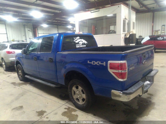 2009 FORD F-150 XL/XLT/FX4/LARIAT VIN: 1FTPW14V69KC43029