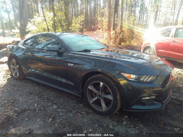 2015 Ford Fastback, VIN: 1FA6P8AM3F5301496