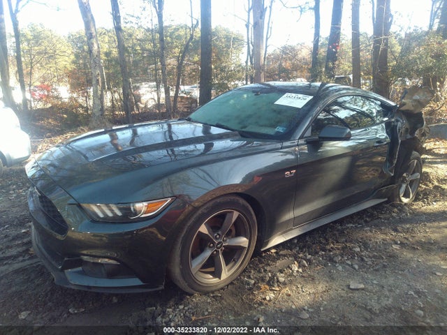 2015 Ford Fastback, VIN: 1FA6P8AM3F5301496