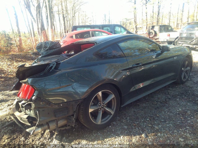 2015 Ford Fastback, VIN: 1FA6P8AM3F5301496