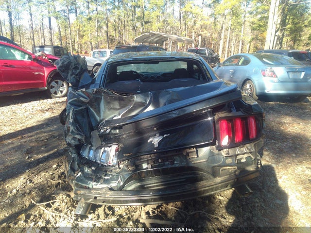 2015 Ford Fastback, VIN: 1FA6P8AM3F5301496