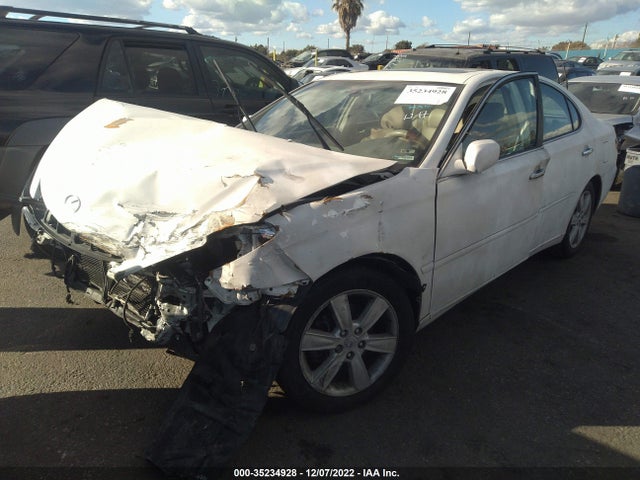 Lexus ES 330 2005 JTHBA30GX55125505 Image 2