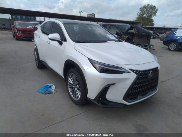 2022 Lexus NX, VIN: JTJHKCEZ9N5003878