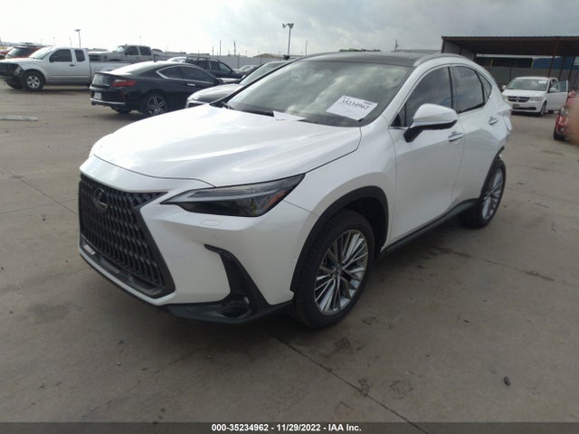 2022 Lexus NX, VIN: JTJHKCEZ9N5003878