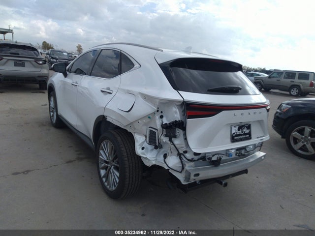 2022 Lexus NX, VIN: JTJHKCEZ9N5003878