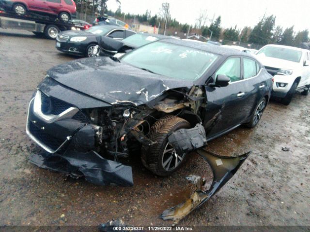 1N4AA6AP3HC382444 Nissan Maxima Sv/s/sl/sr/platinum