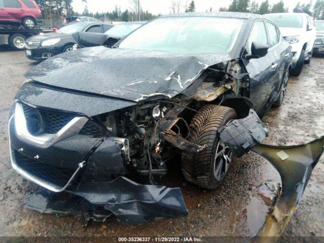 1N4AA6AP3HC382444 Nissan Maxima Sv/s/sl/sr/platinum