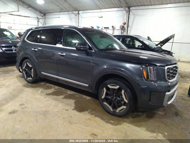 2023 Kia Telluride, VIN: 5XYP6DGC4PG334105
