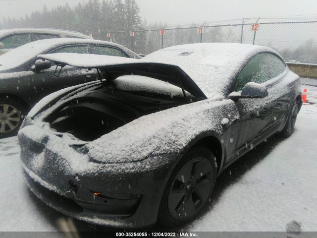 Tesla MODEL 3 2021 5YJ3E1EB1MF062562 Image 2