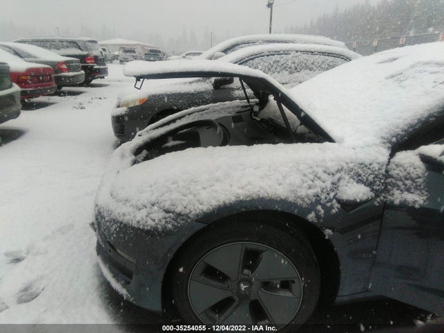 Tesla MODEL 3 2021 5YJ3E1EB1MF062562 Image 7