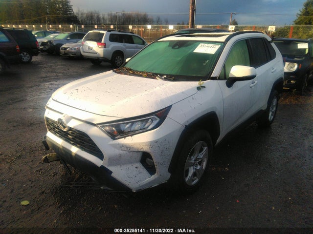 2019 TOYOTA RAV4 XLE VIN: JTMP1RFVXKD502979