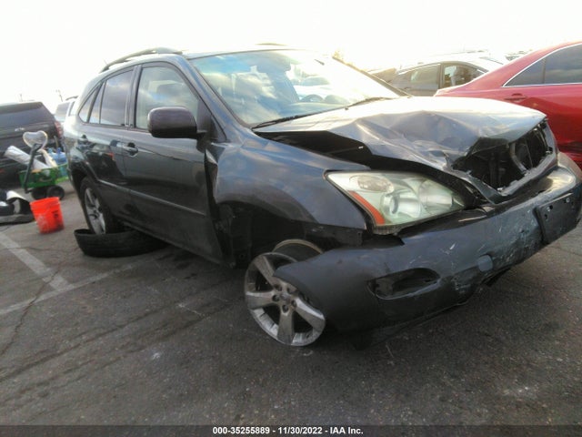 2006 LEXUS RX 330 VIN: JTJGA31U860059527