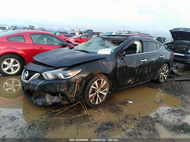 1N4AA6AP6JC401364 Nissan Maxima Platinum