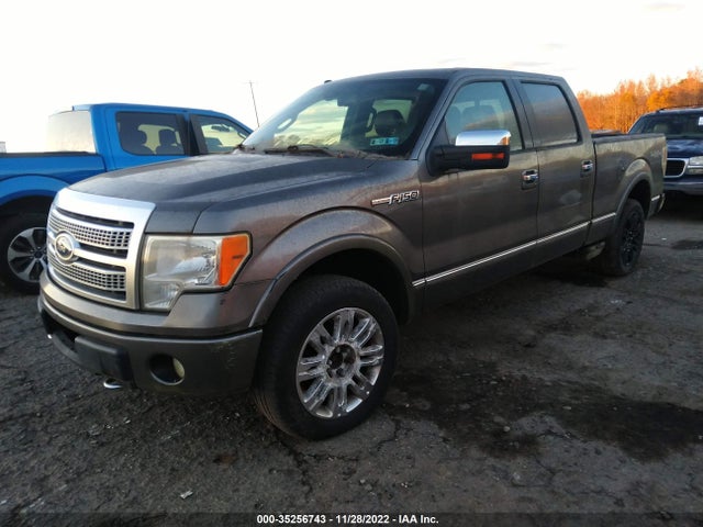 2010 FORD F-150 XL/XLT/FX4/LARIAT VIN: 1FTFW1EV1AFB28197