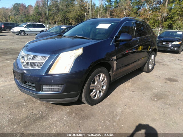 2011 CADILLAC SRX LUXURY COLLECTION VIN: 3GYFNAEY0BS554161