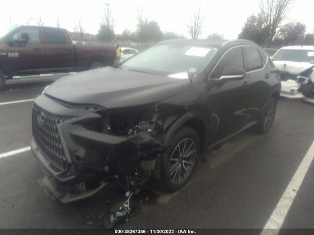 2022 Lexus NX, VIN: JTJGGCEZXN5002395