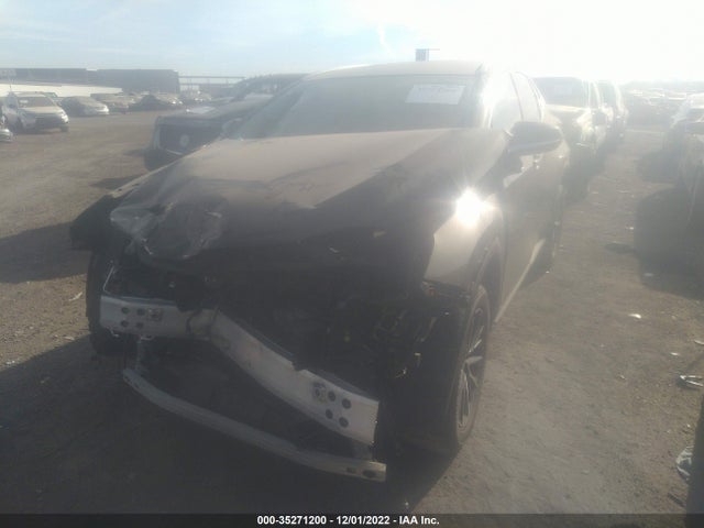 2022 Lexus NX, VIN: 2T2ADCAZ4NC001782