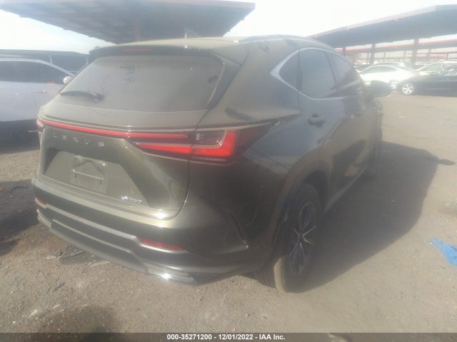 2022 Lexus NX, VIN: 2T2ADCAZ4NC001782
