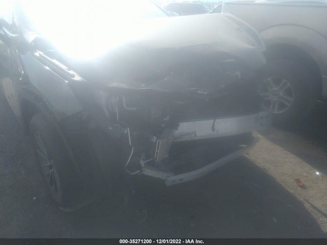 2022 Lexus NX, VIN: 2T2ADCAZ4NC001782