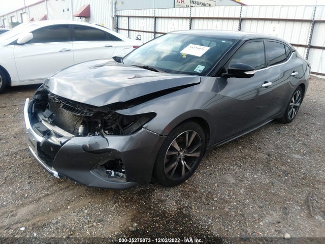 2019 Nissan Maxima, VIN: 1N4AA6AV5KC377140