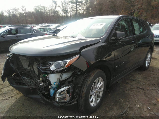 Chevrolet EQUINOX LS 2019 3GNAXSEV0KL338625 Image 2