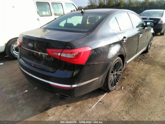 KNALN4D75F5168951 KIA Cadenza Limited