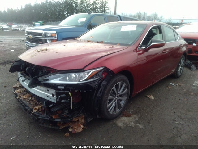 2020 Lexus ES, VIN: 58AD21B16LU004966