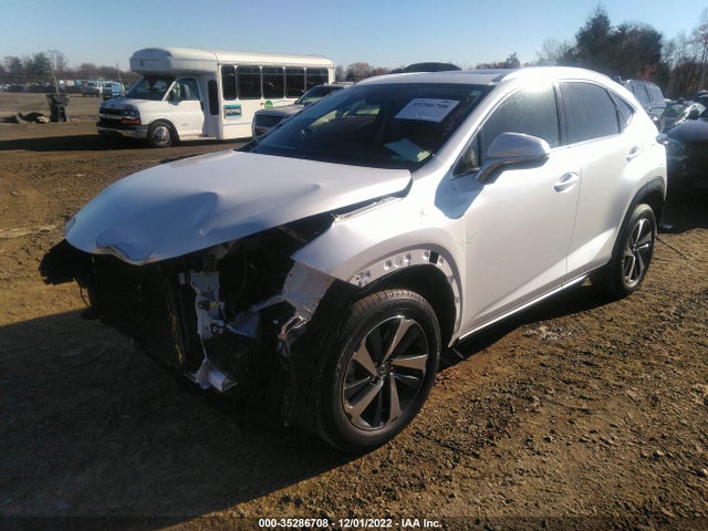 2021 Lexus NX, VIN: JTJGARBZ9M5034231
