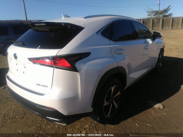 2021 Lexus NX, VIN: JTJGARBZ9M5034231