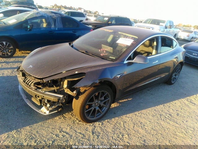 Tesla Model 3 Range 2019 5YJ3E1EA5KF307366 Image 2