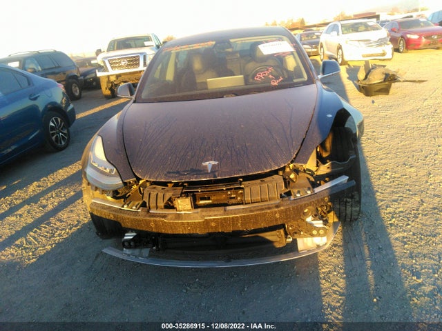 Tesla Model 3 Range 2019 5YJ3E1EA5KF307366 Image 6