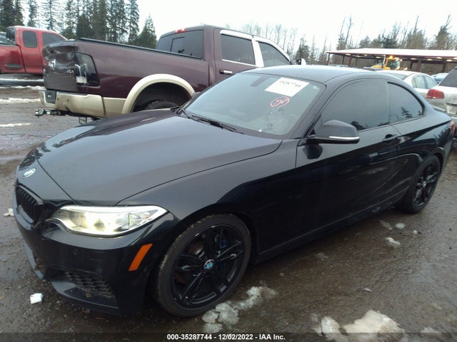 2015 BMW 2 Series, VIN: WBA1J7C50FV253894