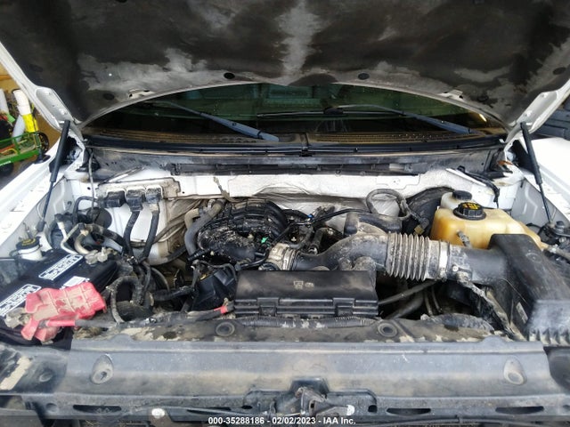 2013 FORD F-150 XL/STX/XLT VIN: 1FTMF1CM1DKD36044