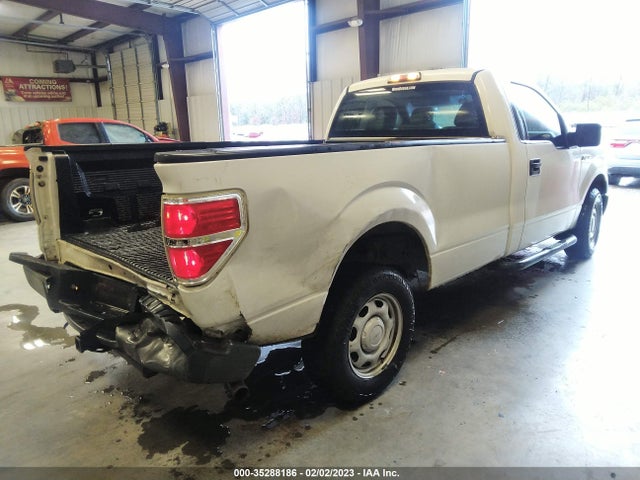 2013 FORD F-150 XL/STX/XLT VIN: 1FTMF1CM1DKD36044